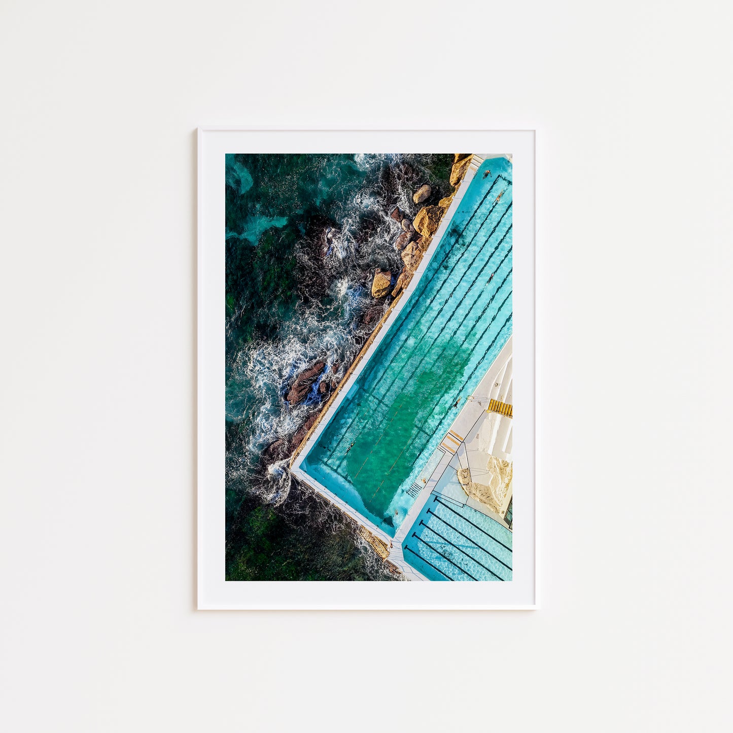Bondi Swimmers