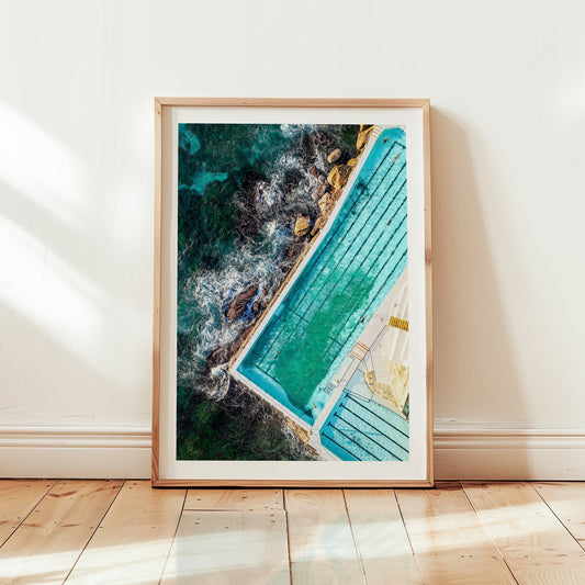Bondi Swimmers