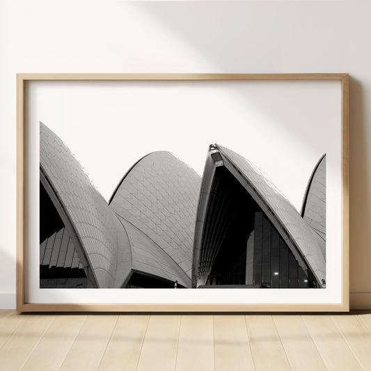 Monochrome Opera